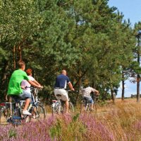 Fietsers